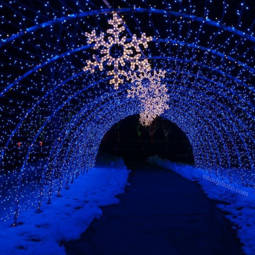 The "Festoon" Tunnel